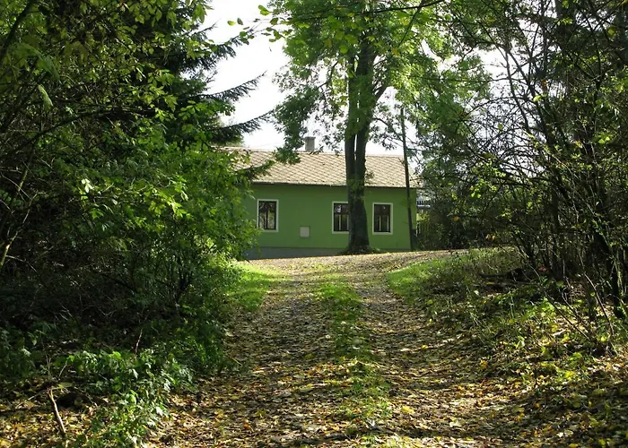 Fidler * Rozvadov